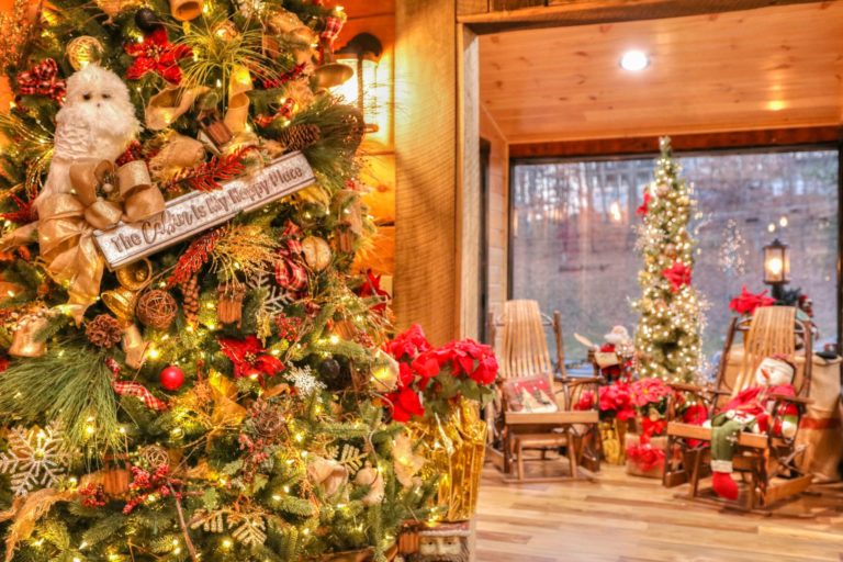 The Story Of Oak Haven Resort