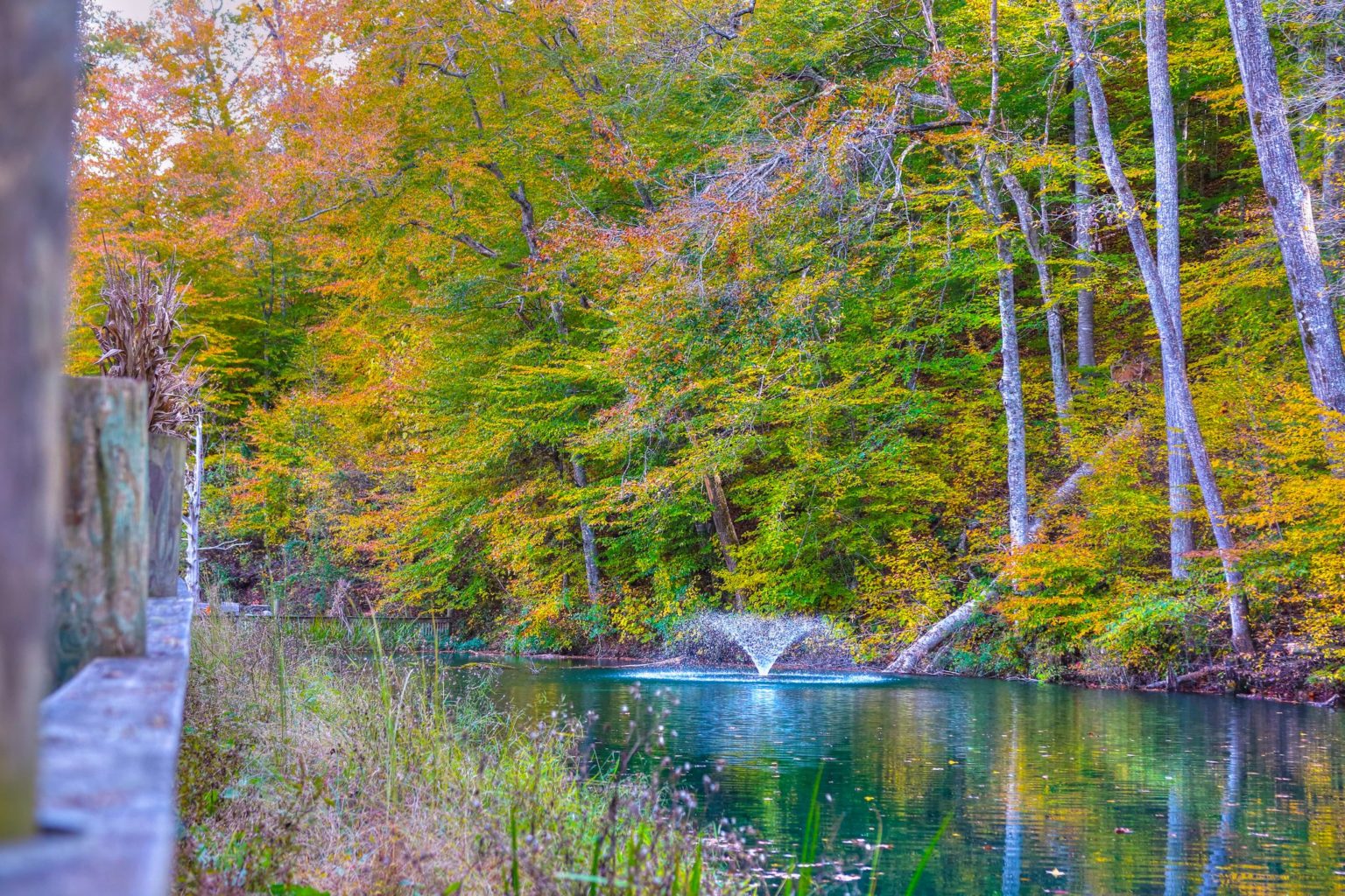 Celebrate Fall at Oak Haven Resort