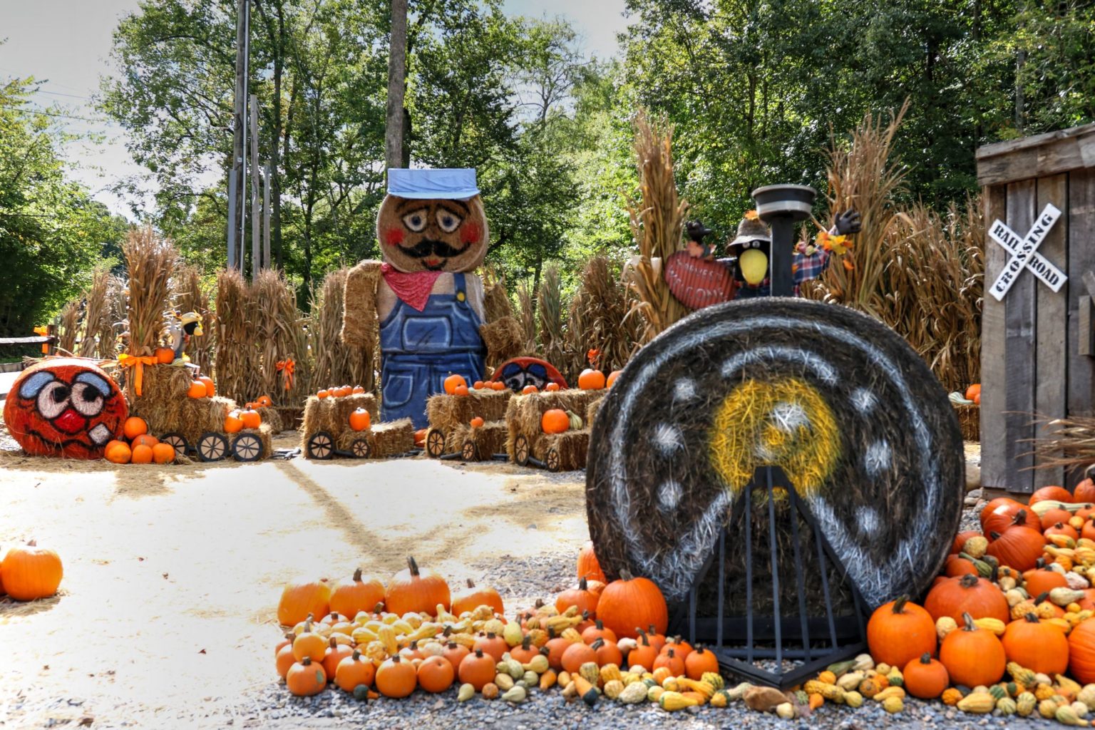 Celebrate Fall at Oak Haven Resort